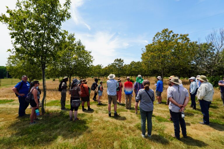 Center for Agroforestry Hosts Summer Education Events for Producers